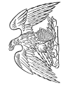 Bald eagle drawings and coloring pages - American Patriotic Symbol