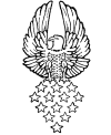 Bald eagle drawings and coloring pages - American Patriotic Symbol
